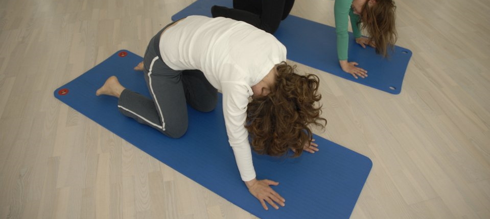 YogaFårvang